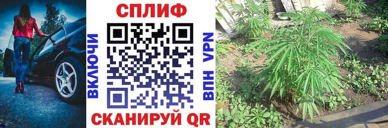 KRAKEN ссылка  Новоалтайск  Шишки марихуана тримм 